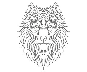 lions face line art style majestic lion art work 