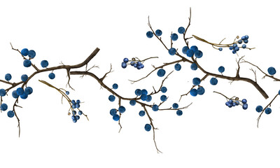 Tree branches with blue berries. Watercolor digital illustration. Thorny blackthorn, isolated on white background. Horizontal seamless pattern, textile border for Christmas and New Year themes