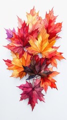 Colorful watercolor maple leaves in red, orange, and yellow on a white background