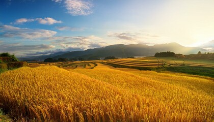 Obraz premium 秋の田園風景と稲穂