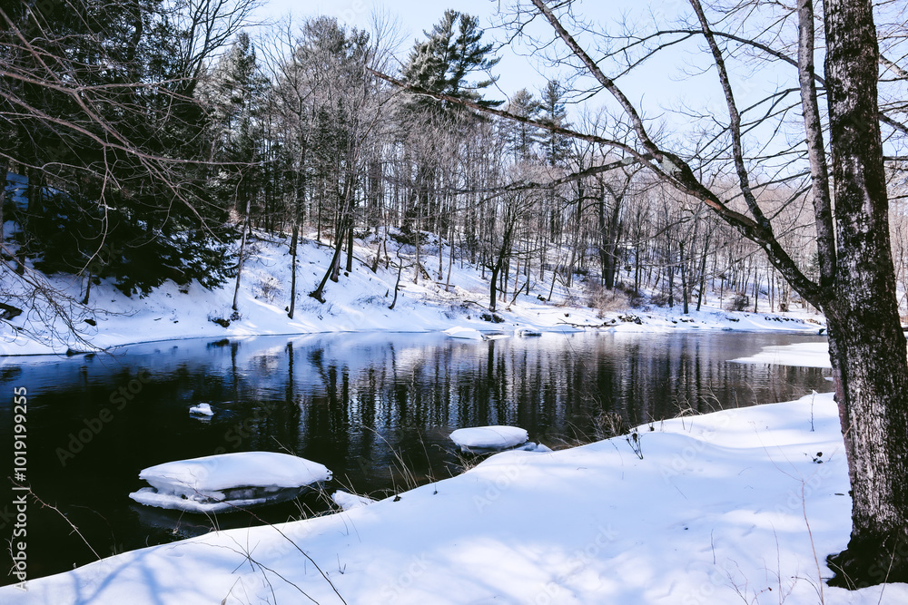 Wall mural lake in winter