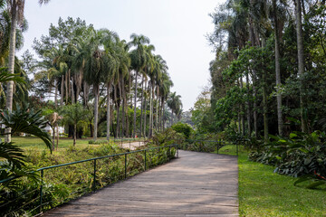 Fototapeta premium Botanical Garden in Sao Paulo, featuring lush greenery and tranquil pathways.