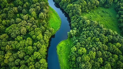 Naklejka premium Aerial view of a winding river flowing through a lush green forest.