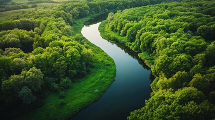 An aerial view of a winding river flowing through a lush green forest.