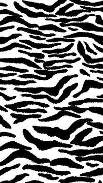 Black and white animal print pattern