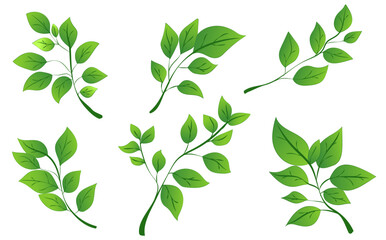 A collection of green leaves arranged in different positions. The graphic style is vibrant and flat. The background is plain white. Vector illustration