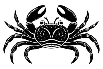 Galapagos   ghost crabs vector art illustration