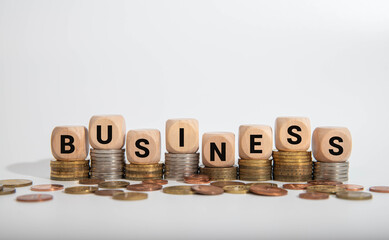 Business word on wooden cubes over blur background, business concept