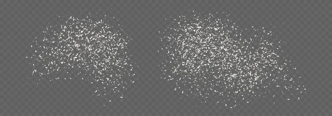 Coconut flakes, flying grated and desiccated coconut powder, dry scattered coco texture. Vector illustration.