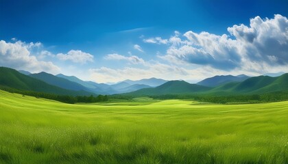 Fototapeta premium field and sky「冴えわたる青空と野原」