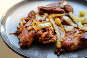 Grilled chicken with onion. Perfect for recipe, article, catalogue, or any commercial purposes.
