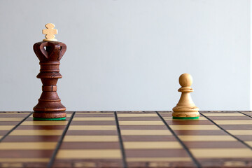 Life is a lot like chess: every move counts, every piece has purpose, and every game tells a story....