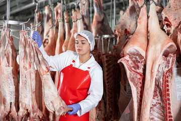 Smiling young female butcher shop worker checking fresh raw dressed lamb carcasses hanging on hook...