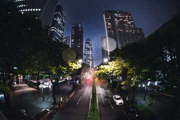 Obraz premium 【東京夜景】魚眼で撮った夜の新宿のビル群【魚眼】