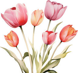 Obraz premium bouquet of tulips