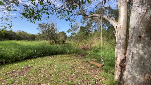 An empty wooden swing hanged on a tree outdoor.