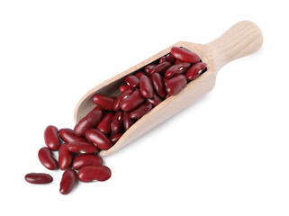 Dried red beans in scoop isolated on white