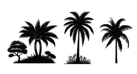 Coconut tree  Silhouette vector illustration on white background