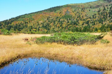 八甲田 毛無岱の池塘と紅葉