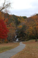 Obraz premium The Four Seasons