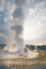 Grotto Geyser, Yellowstone National Park, Wyoming