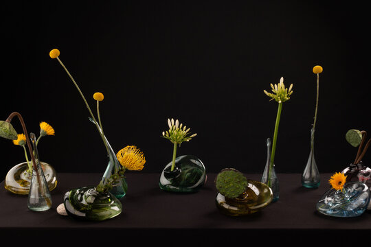 Still life flowers in glass vases on black background.