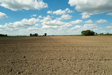 Fertilizer soil for growing plants. Mud on field. Agricultural industry. Soil for growing plants. Gardening season. Clean soil for cultivation. Soil for gardening.