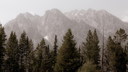 Grand Teton Mountains National Park with Forest and Glaciers, Wyoming