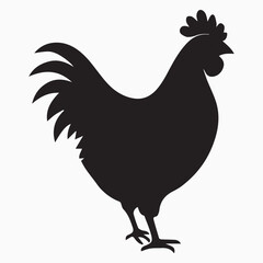  Hen silhouette vector isolated