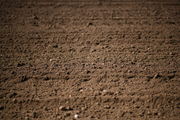 Soil texture background for gardening. Soil as background. Organic gardening. Soil field background. Soil for planting background.