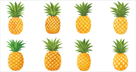 Set of fresh pineapple fruit icons, Set of fresh pineapple summer fruits, Ripe pineapple, Realistic pineapple vector illustration