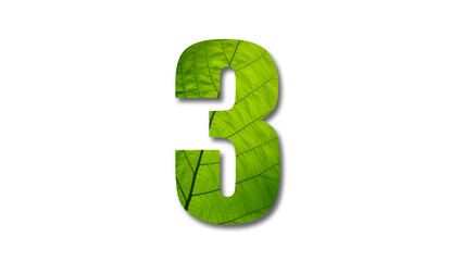 Number 3 with green leaf texture, white background
