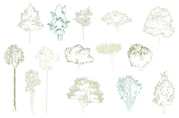 Minimal style cad tree line drawing, Side view, set of graphics trees elements outline symbol for architecture and landscape design drawing. Vector illustration in stroke fill in white. Tropical, stre