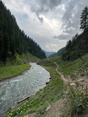 Fototapeta premium river in the mountains