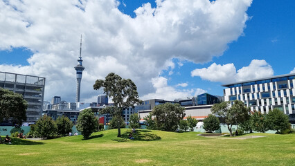 Auckland city skyline on a sunny day