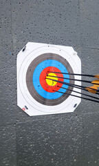 Close-up of a target with arrows shot into it