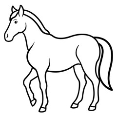 horse illustration