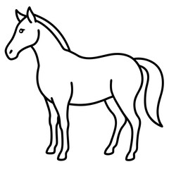 horse illustration