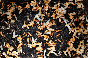 Burnt rice in saucepan. Grunge and rough background. Rice cooking failure. 