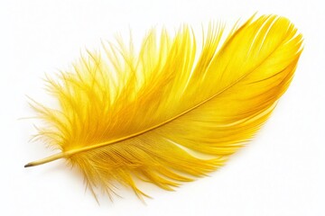 Fototapeta premium Vibrant Yellow Feather Isolated on a White Background Ideal for Nature and Artistic Backgrounds