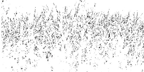 Monochrome abstract silhouette of dense tree branches