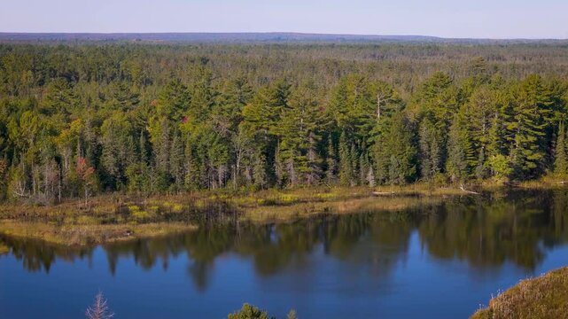 Endless forest on lake in Michigan