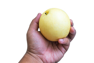 hand holding a pear with transparent background