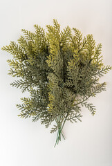 Fake fir tree branch for decorating of bouquets and home