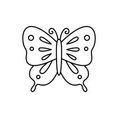 butterfly illustration