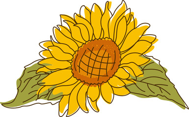 Abstract Line Sunflower