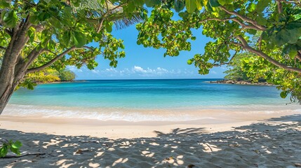 A view of a beautiful tropical beach with clear blue water, white sand, and lush green foliage.