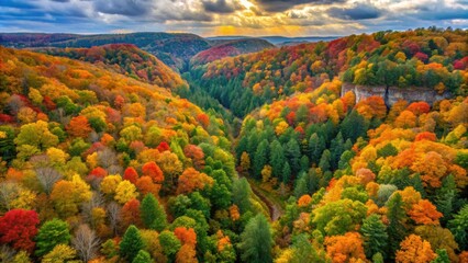 Aerial view of fall foliage in Conkle's Hollow, Hocking Hills , southwestern Ohio, autumn, landscape, colors