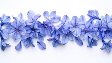 Blue hyacinth flower petals isolated on white background Spring garden flowers bouquet Easter decoration Design element Top view flat lay Creative layout : Generative AI