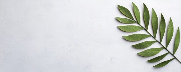 A vibrant green leaf rests against a white background, perfect for nature-themed designs and compositions.